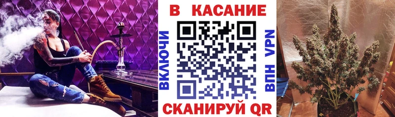 МЕФ Тверь