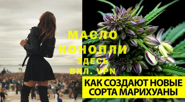 гашишное масло Аркадак