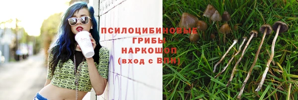 гашишное масло Аркадак