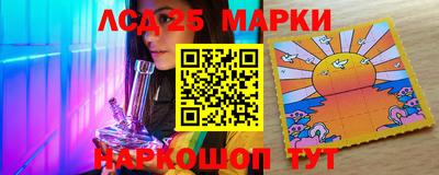 Альфа ПВП Гатчина