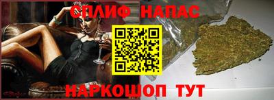 Альфа ПВП Гатчина