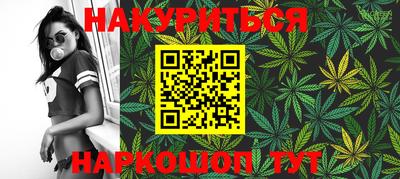 Альфа ПВП Гатчина